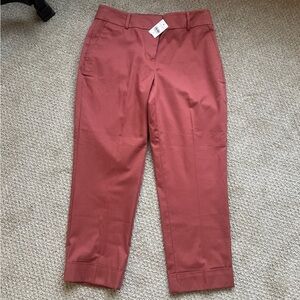 Ann Taylor Factory Cropped Capris NWT Stylish